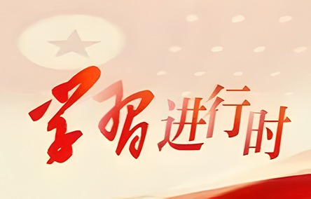 精准24码免费