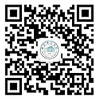 精准24码免费