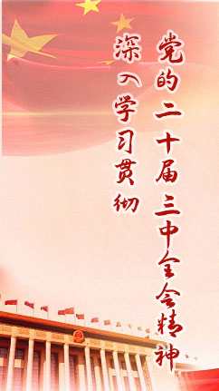 精准24码免费