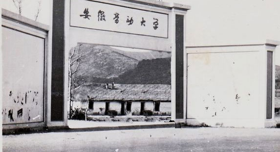精准24码免费