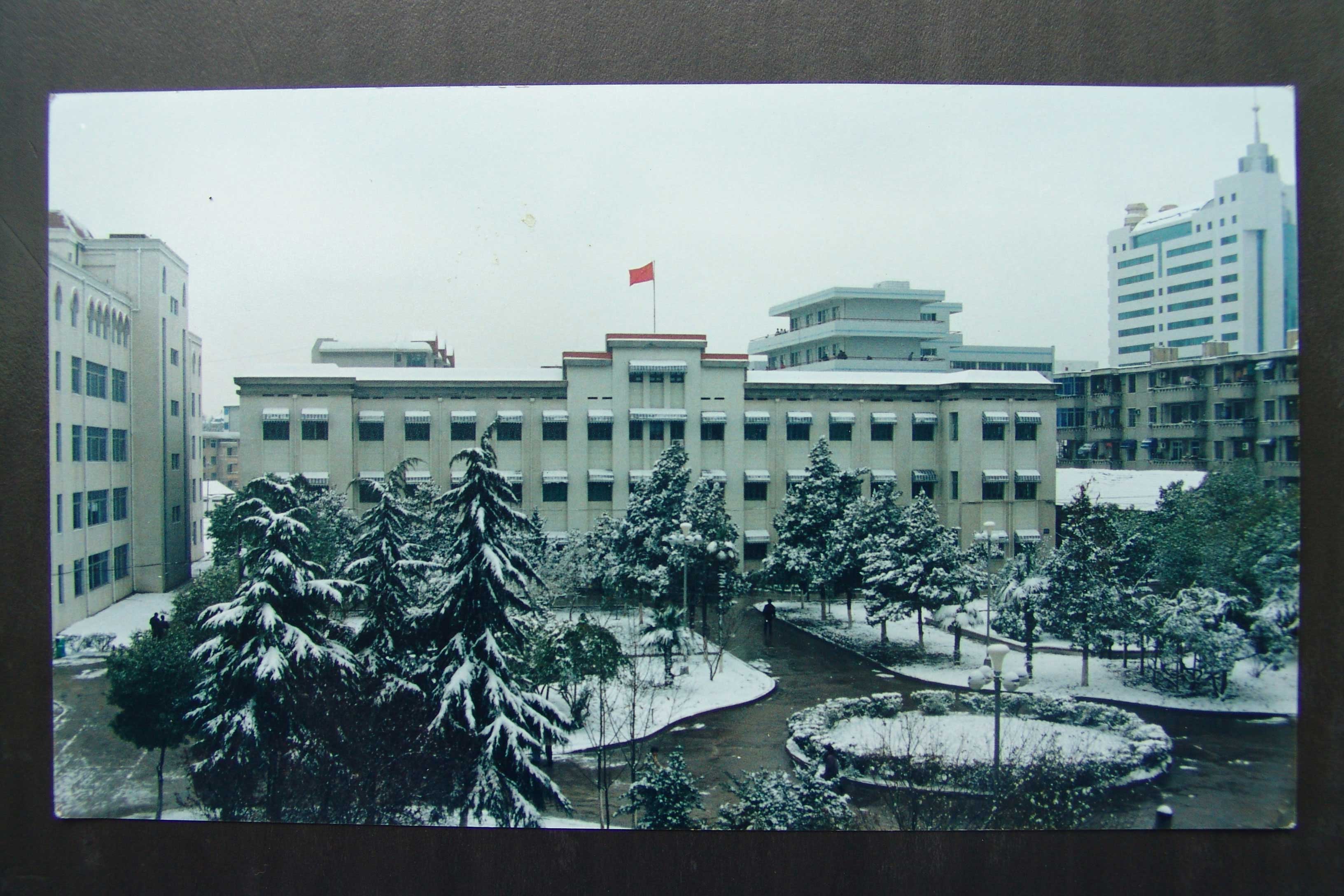 精准24码免费
