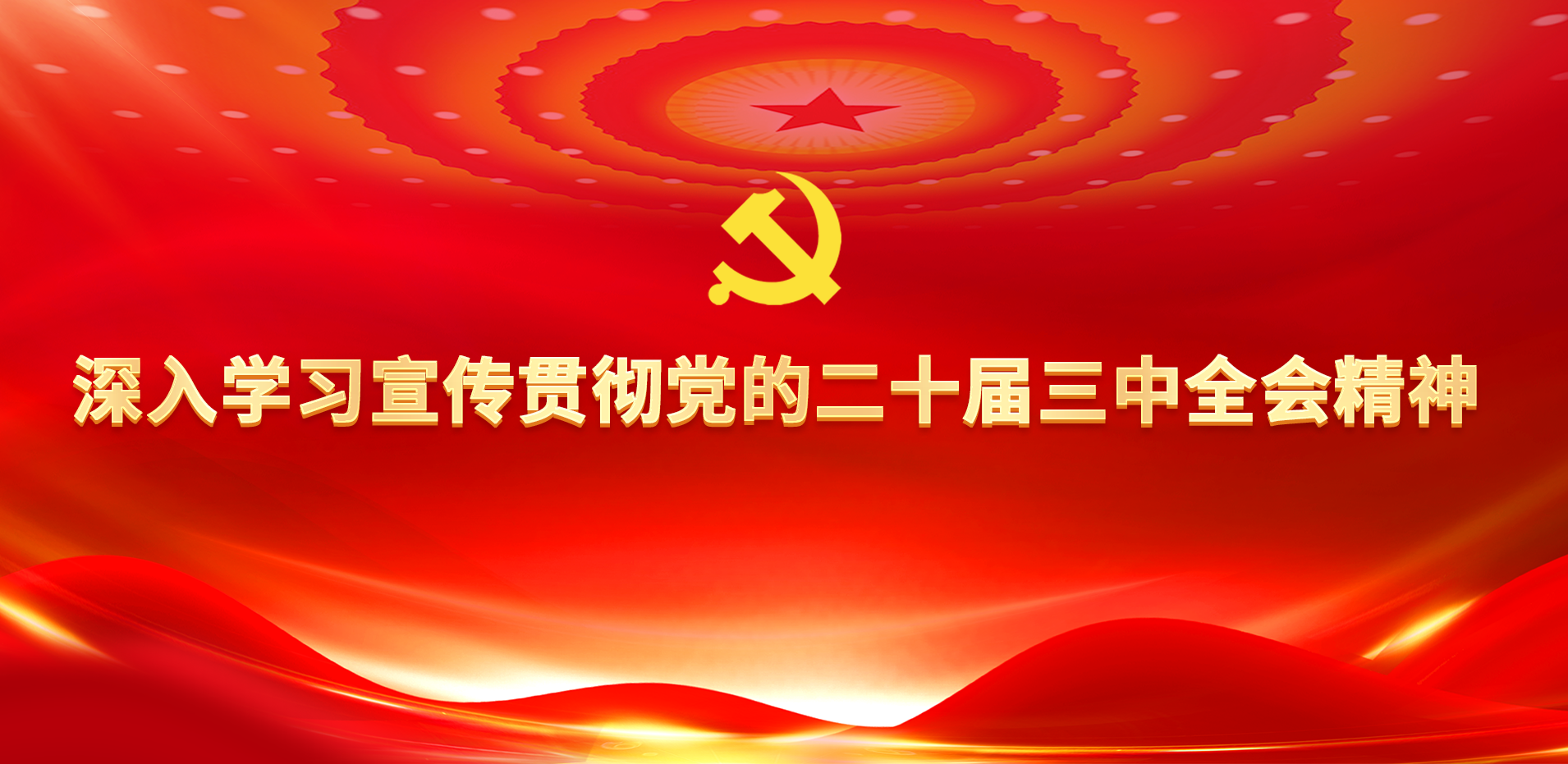 精准24码免费
