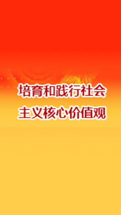 精准24码免费